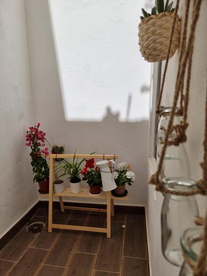 Dream Days Guesthouse Faro Luaran gambar
