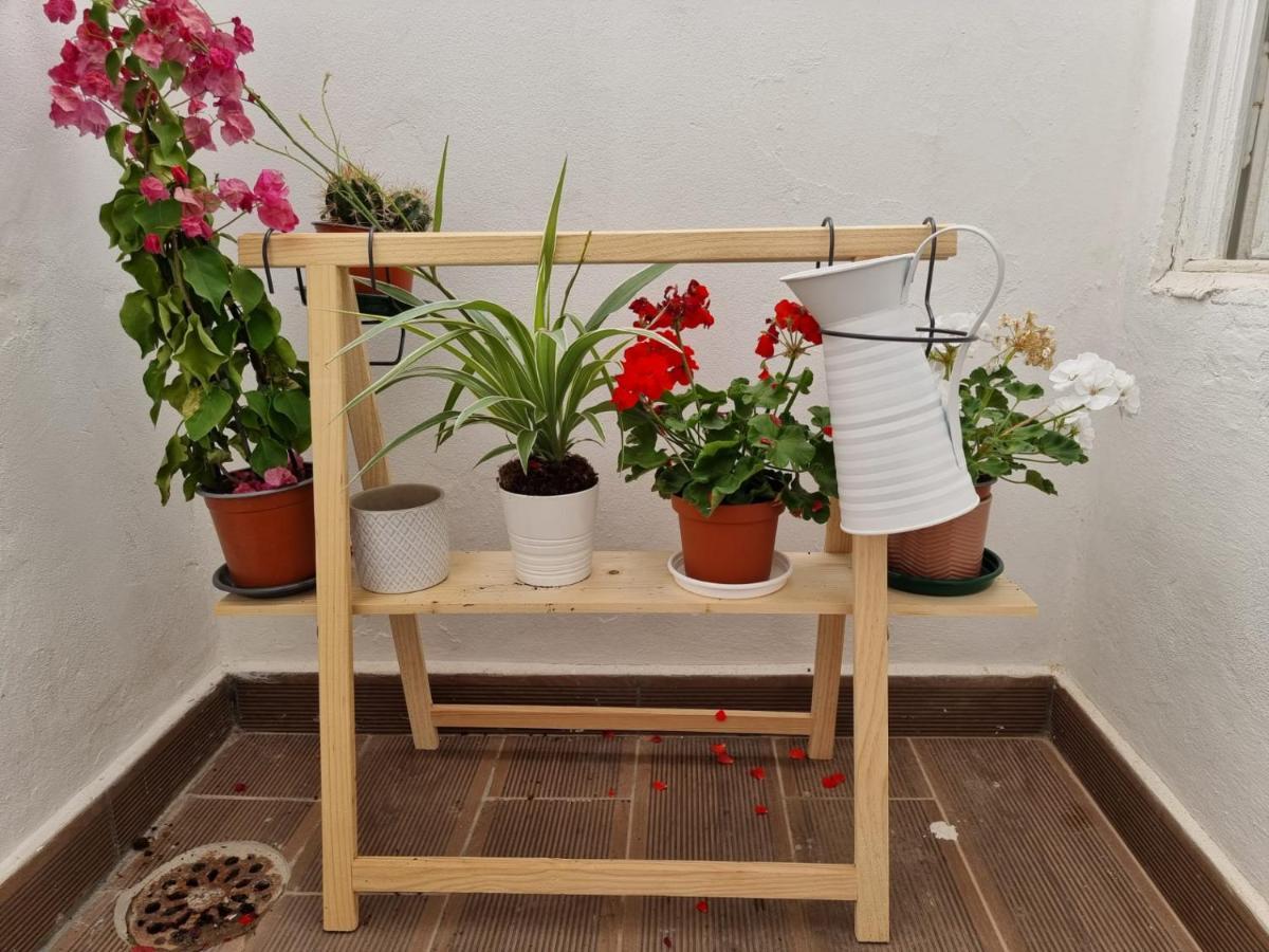 Dream Days Guesthouse Faro Luaran gambar